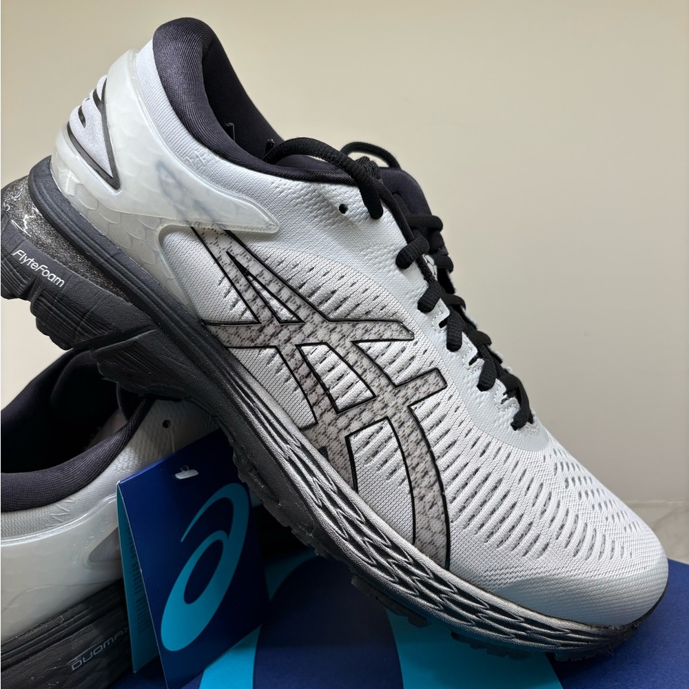 ASICS Gel-Kayano 25 Men’s Shoes